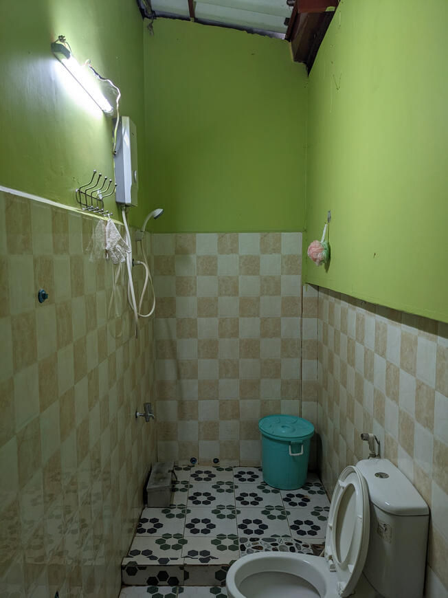 Bathroom, from door